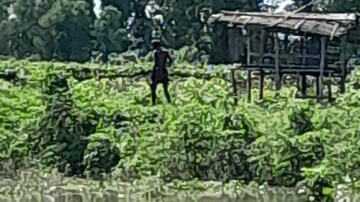 দৌলতপুর সীমান্তে বিএসএফের পুশইনের চেষ্টা, বিজিবির প্রতিরোধ