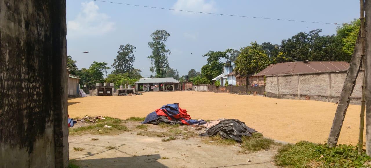 চালকল বন্ধের শঙ্কা রায়গঞ্জে, সরকারি খাদ্য সংগ্রহ ও কর্মসংস্থান নিয়ে উদ্বেগ