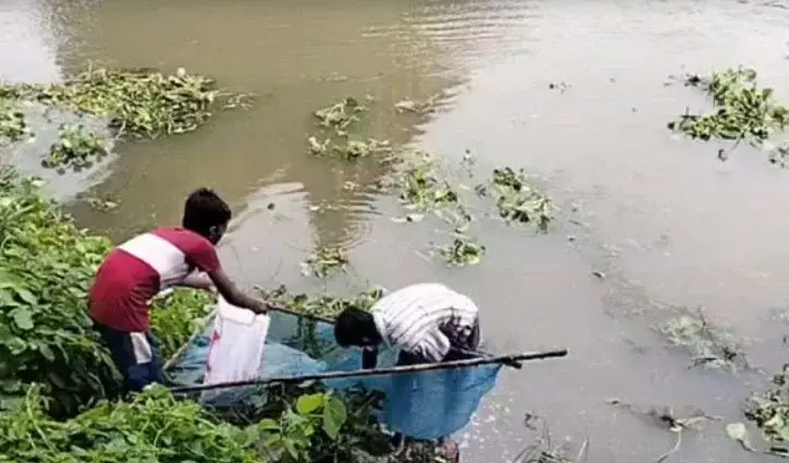 বারনই নদীতে হঠাৎ ভেসে উঠল বিপুল মাছ, পানির নমুনা পরীক্ষার দাবি