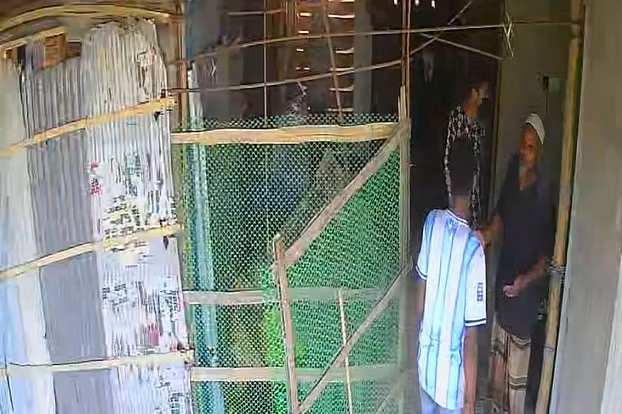 ২০ লাখ টাকা চাঁদা না পেয়ে ব্যবসায়ীর নির্মাণাধীন ভবনে হামলা, ককটেল বিস্ফোরণ