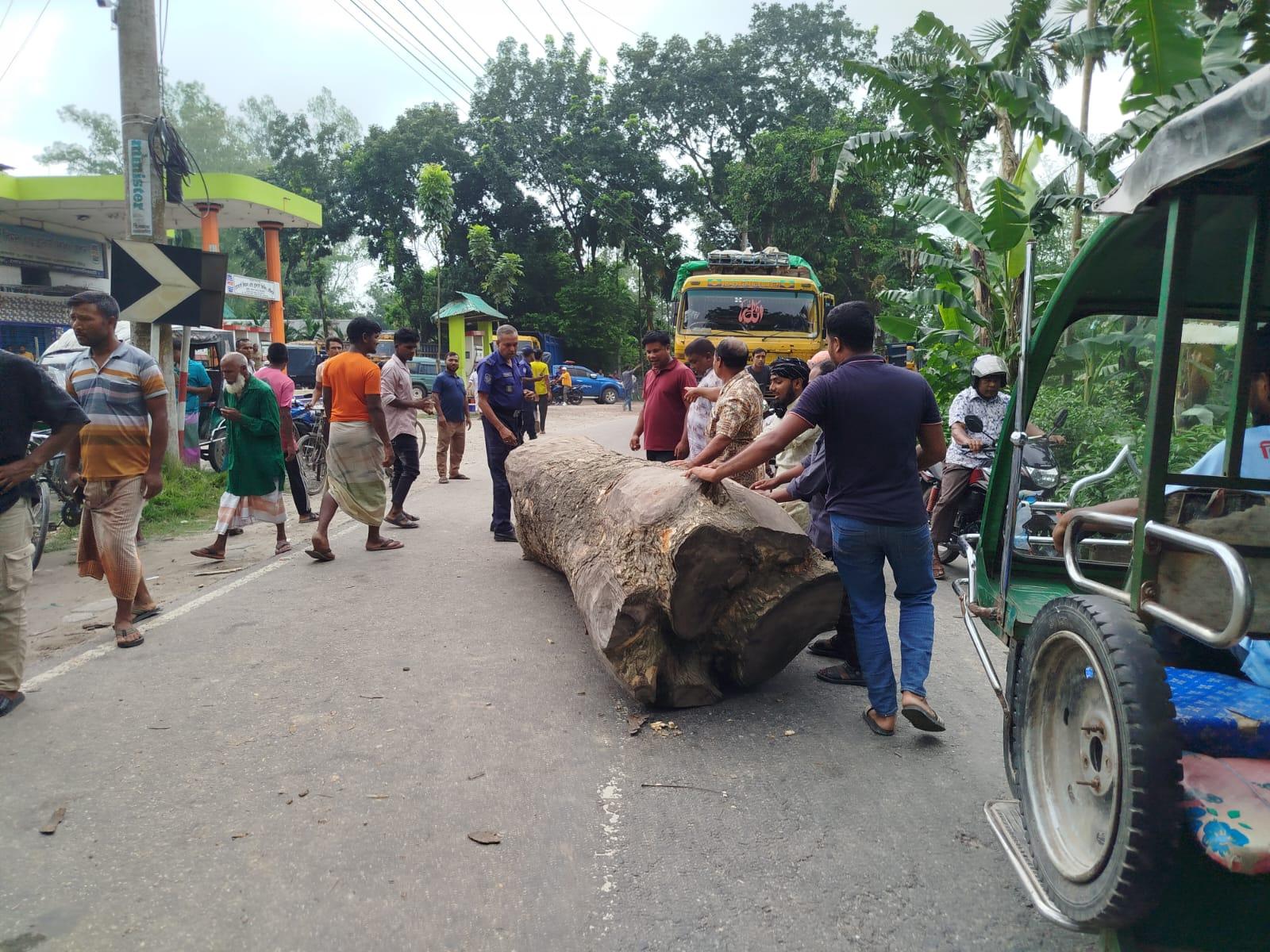 লালমনিরহাটে সারের দাবিতে মহাসড়কে গাছের গুঁড়ি ফেলে কৃষকদের বিক্ষোভ