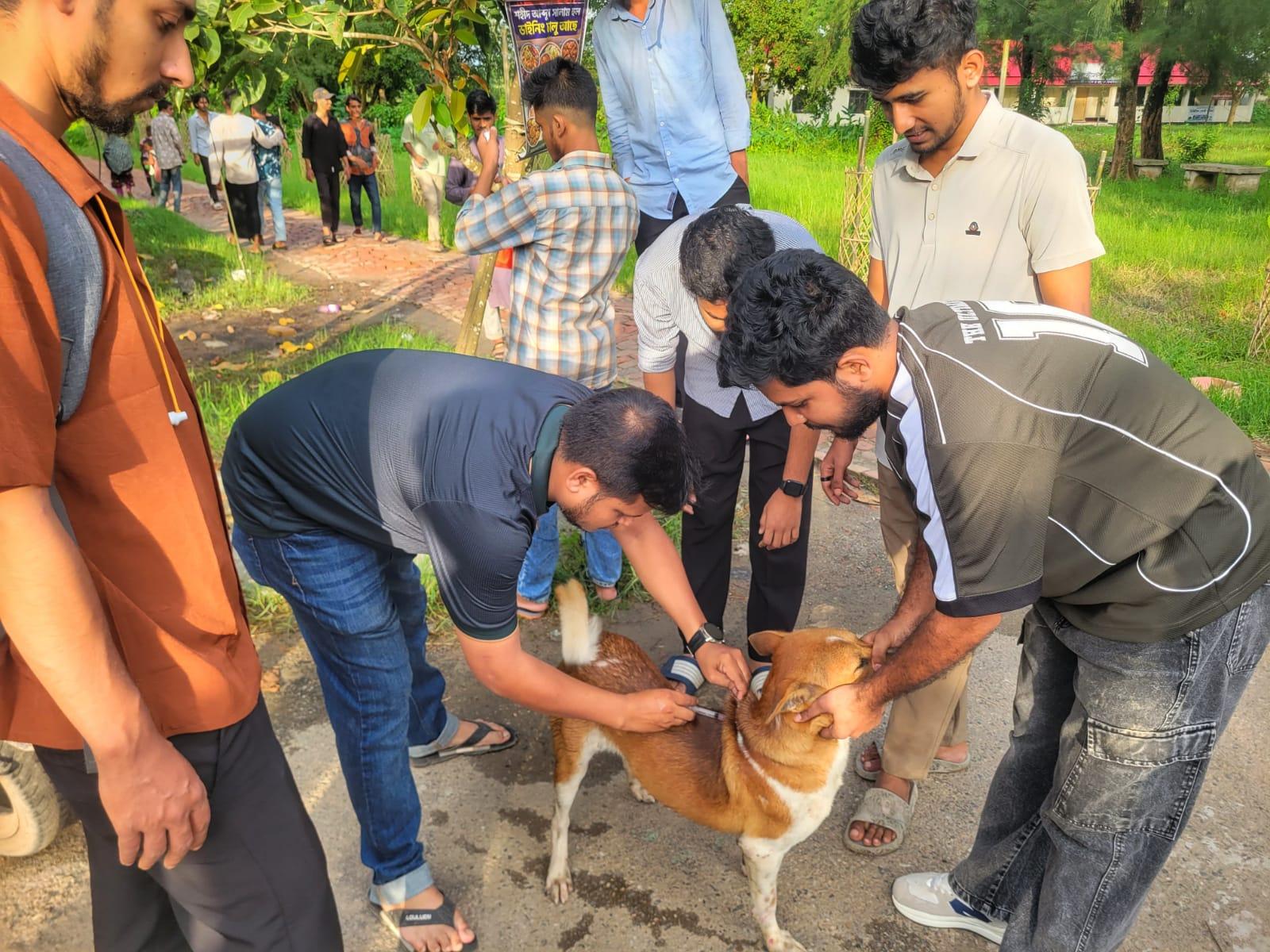সংযুক্ত ছবি