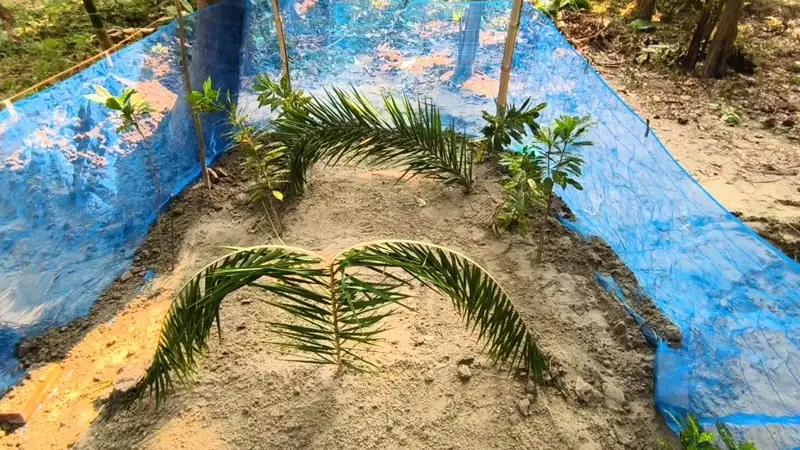 পাশাপাশি কবরে দাফন কারাবন্দি ছাত্রলীগ নেতার স্ত্রী-সন্তানের