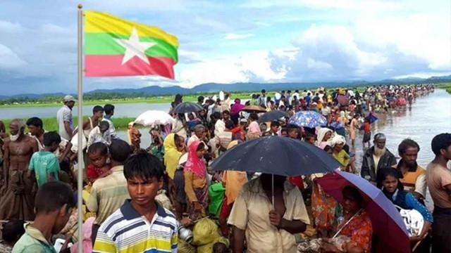 মিয়ানমারের ‘বাঙালি’ দাবি কি রোহিঙ্গা সংকটকে আরও জটিল করছে