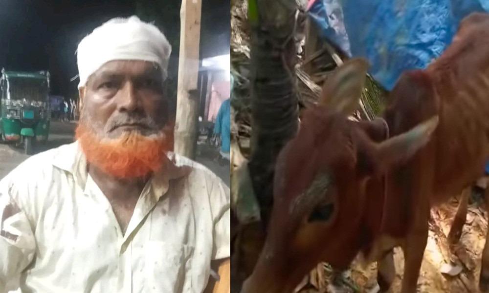 চুরির গরু নেতার গোয়ালঘরে, শোকজ করল দল