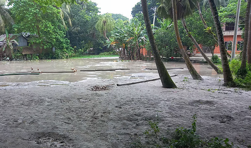 সরকারি স্কুলের পুকুর ভরাটের অভিযোগ ইউপি চেয়ারম্যানের বিরুদ্ধে