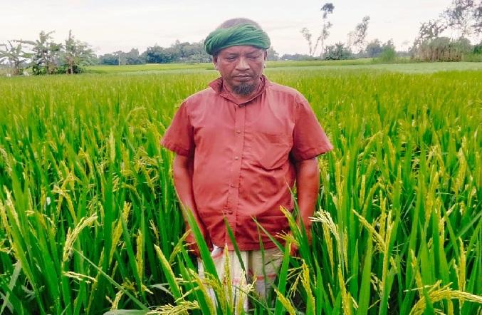 স্যালো মেশিন আছে, তেল নেই— সেচ নিয়ে উৎকণ্ঠায় কৃষক