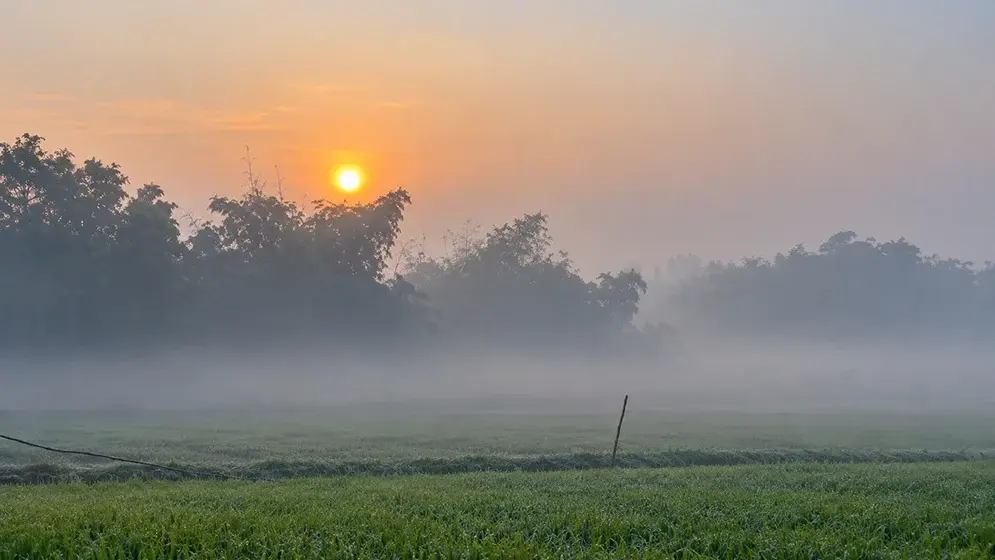 কার্তিকের শুরুতেই ঘন কুয়াশা, শীতের আগমনী বার্তা উত্তরে