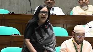 ৬৪ জেলায় ৬৪ জন স্বরাষ্ট্রমন্ত্রী থাকলেও মন্দ হতো না: রুমিন ফারহানা