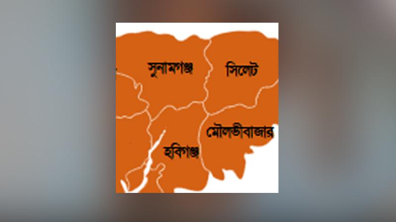 সিলেটের কোনও আসনে জয় পায়নি জামায়াত, বিএনপির বাজিমাত