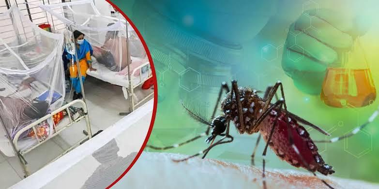 ডেঙ্গু আক্রান্ত দ্রুত বাড়ছে, সেপ্টেম্বর-অক্টোবরে পরিস্থিতি আরও খারাপের আশঙ্কা