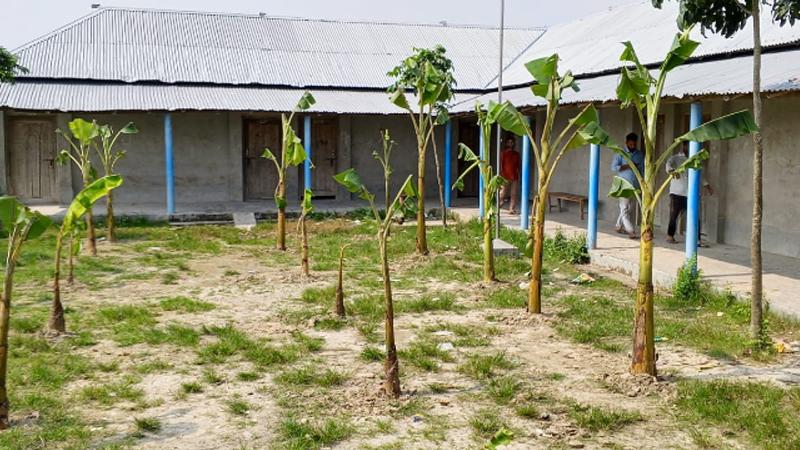 স্কুলের মাঠে কলাগাছ, ফটকে বাঁশের বেড়া; দাতা সদস্যের বিরুদ্ধে তালা দেওয়ার অভিযোগ