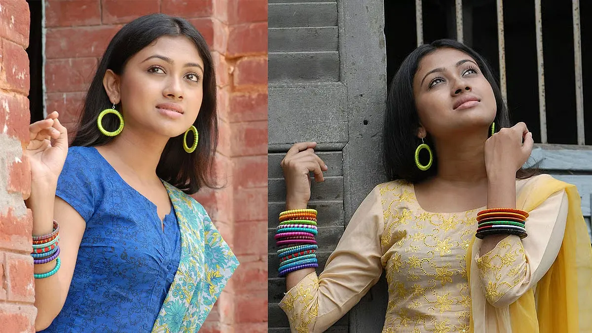 ভেঙে গেছে সেই মীমের সংসার