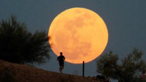 বছরের প্রথম সুপারমুন দেখা যাবে শনিবার