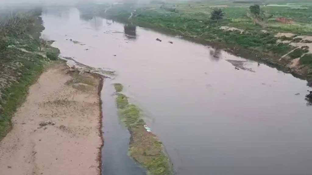 বাংলাদেশ সীমান্তের নদীপথে সাপ-কুমির ছাড়ার পরিকল্পনা বিএসএফের...